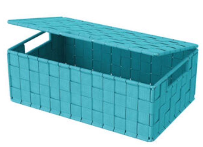 Livarno Home Foldable Storage Box (Blue)