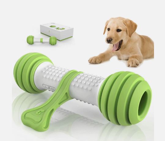 PETGEEK PlayBone Motion-Activated Electronic Automatic Interactive Dog Bone Toy (USB Rechargeable)