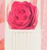 Enchanteur Enticing Talc, Fragrance Powder, 250 g